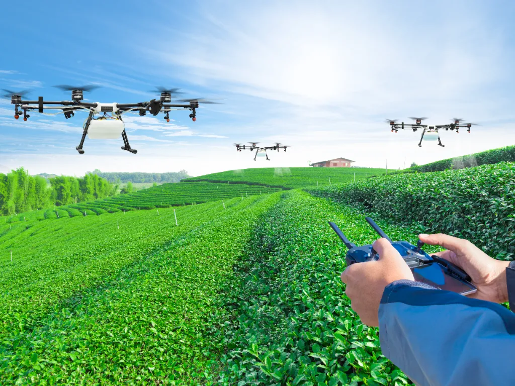 Agricultura de precisão: tecnologias que estão revolucionando o campo